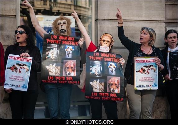 rassemblement-contre-airfrance-klm-animaux-paris-0007