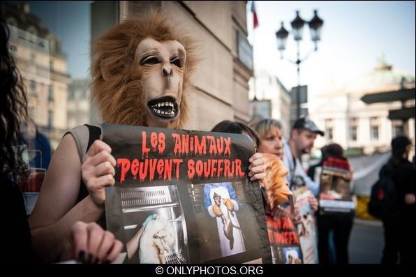 rassemblement-contre-airfrance-klm-animaux-paris-0003