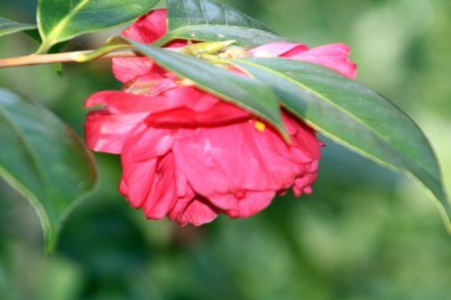 4 paul maymou 28 mars 2012 042.jpg