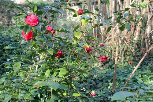 2 paul maymou 28 mars 2012 044.jpg