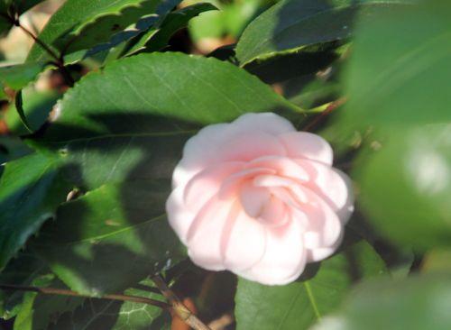 16 ave maria 28 mars 2012 037.jpg