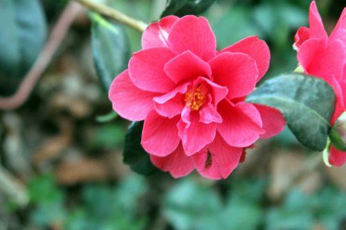 18 freedom bell 28 mars 2012 005.jpg