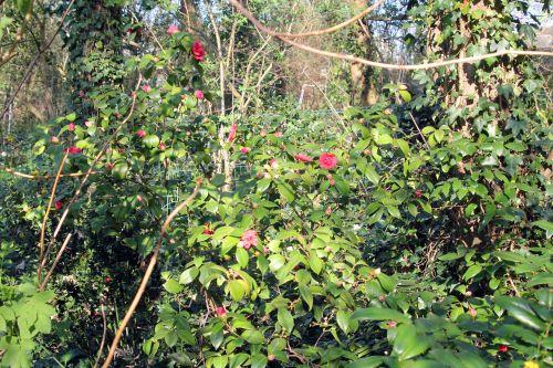 9 mme martin 28 mars 2012 046.jpg