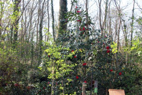 5 adolphe 28 mars 2012 050.jpg