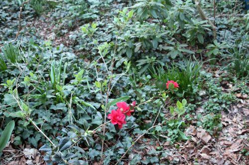 17 freedom bell 28 mars 2012 002.jpg