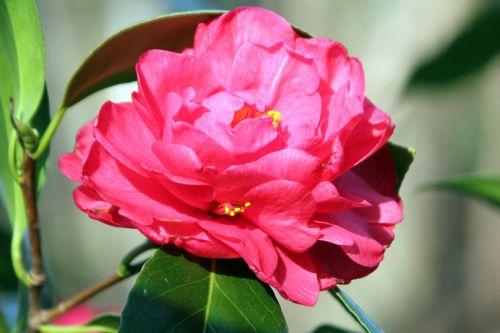 3 paul maymou 28 mars 2012 039.jpg