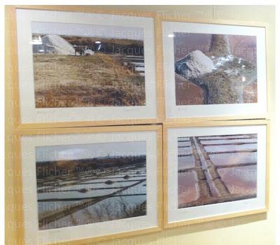 Si la photo et bonne...(1er partie).