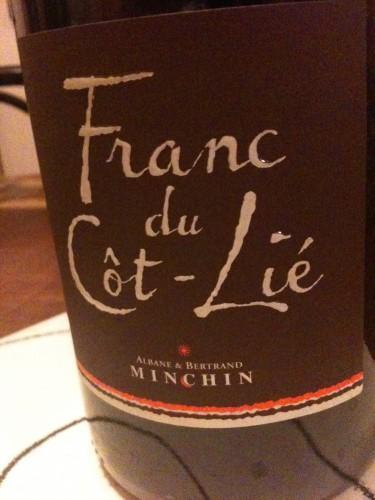 VDV#44: Régalades et rigolades en Loire vendredis du vin,loire,domaine de la perrière,côtes roannaises,touraine,bertrand minchin,gamay,cot,cabernet franc