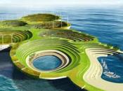 Arche Aleksandar Joksimovic Jelena Nikolic