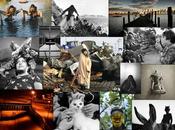 Exposition Photojournalistes Galerie l’Instant