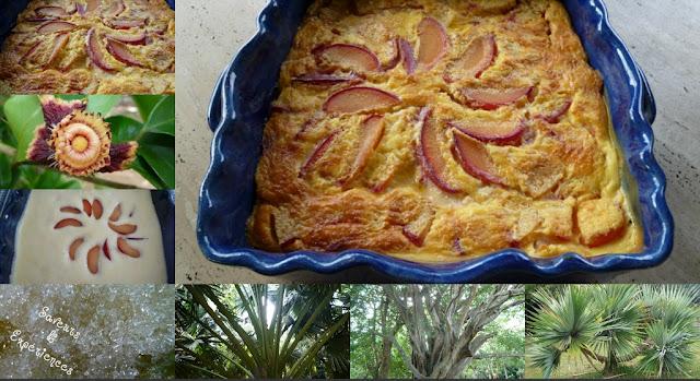 Clafoutis Léger aux Prunes