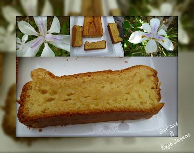 Cake au Lait Fermenté à la Vanille
