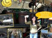 J'ai testé... métier alcoolisé distillateur ambulant