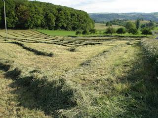 Focus sur le Luxembourg Focus sur le Luxembourg