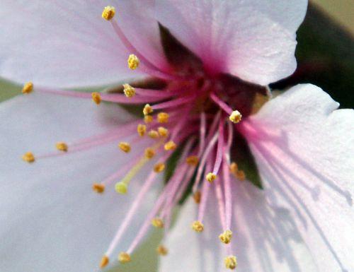 romi 30 mars 2012 057.jpg