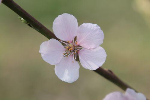 romi 30 mars 2012 052.jpg