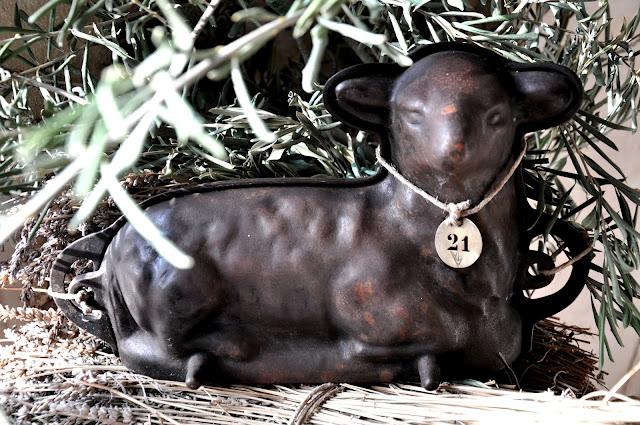 Côté collections,les moutons