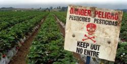 Pesticides mort dans
