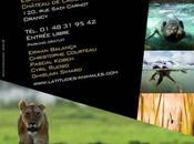 Latitudes Animales 2012