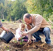 Construire des plant de grands arbres