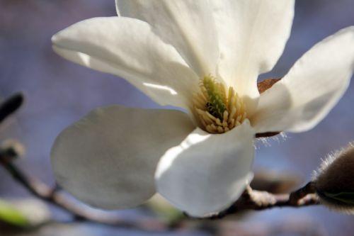 3 gb 25 mars 2012 096.jpg