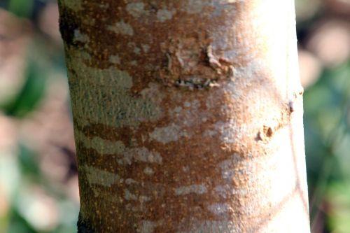 5 gb 25 mars 2012 099.jpg