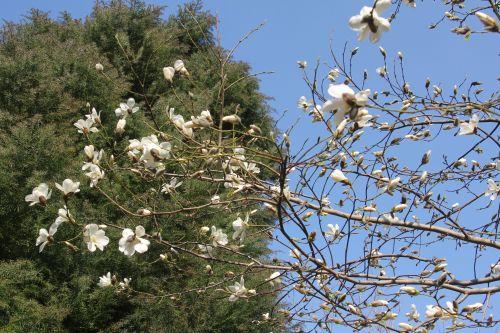 2 gb 25 mars 2012 097.jpg