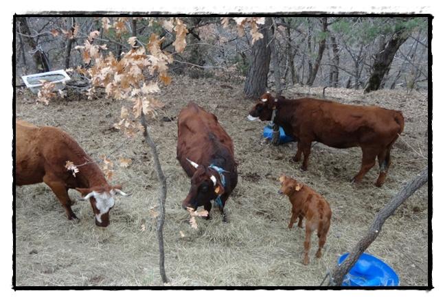 Berghe Inférieur, 18 mars 2012