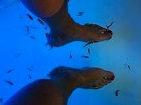 LA PHOTO DE LA SEMAINE #12 LA PHOTO DE LA SEMAINE #12