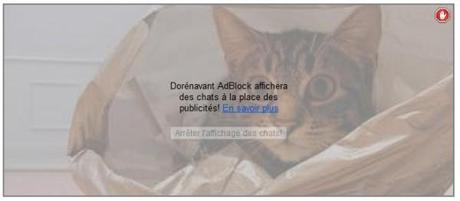 dblock chat 600x263 AdBlock remplace les pubs par des Chats !
