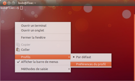 Profils gnome Terminal 560x337 Ubuntu 12.04   Activer la transparence des fenêtres sous Unity