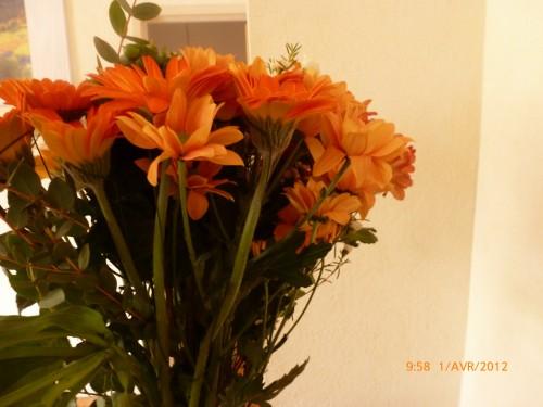 lyon bouquet mars avril 2012 007.jpg