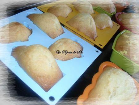 Merciii Silikomart !!! SAM_1188