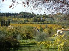 littérature; poésie; livres