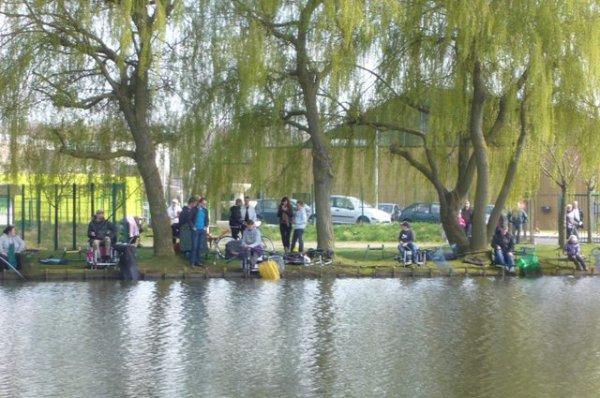 Au pied de mon arbre, je pêchais heureux !