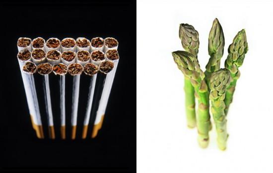 Photographies : Kevin Twomey