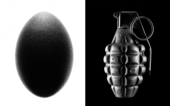 Photographies : Kevin Twomey