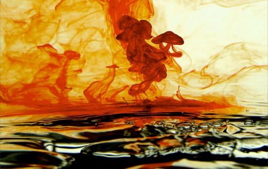 Photographies : Kevin Twomey