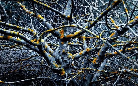 Photographies : Kevin Twomey