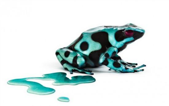 Photographies : Kevin Twomey