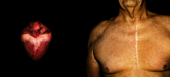 Photographies : Kevin Twomey