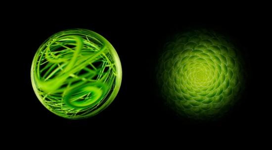 Photographies : Kevin Twomey