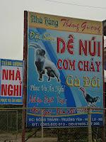 Des chèvres et une pigeonne à Ninh binh