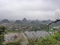 Des chèvres et une pigeonne à Ninh binh