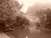 Des chèvres et une pigeonne à Ninh binh