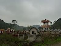 Des chèvres et une pigeonne à Ninh binh