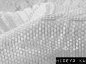 Hideyo Kaneko, Lèche-vitrine n°30 Omnibus-Tarbes