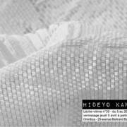 Hideyo Kaneko, Lèche-vitrine n°30 Omnibus-Tarbes