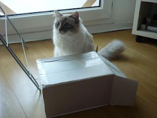 [ Achat ] Mon colis Sasa est arrivé !