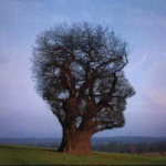 connaissance competitive 150x150 Le défi de la connaissance compétitive influence strategie